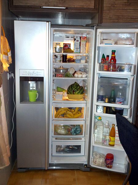 Модель современного холодильника